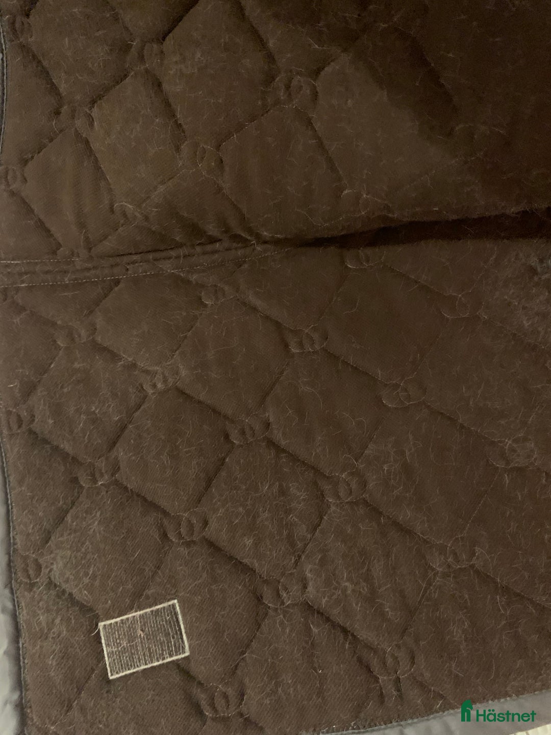 Schabrak & Vojlockar hästutrustning till salu: Schabrak och grimmor  - Annons 3