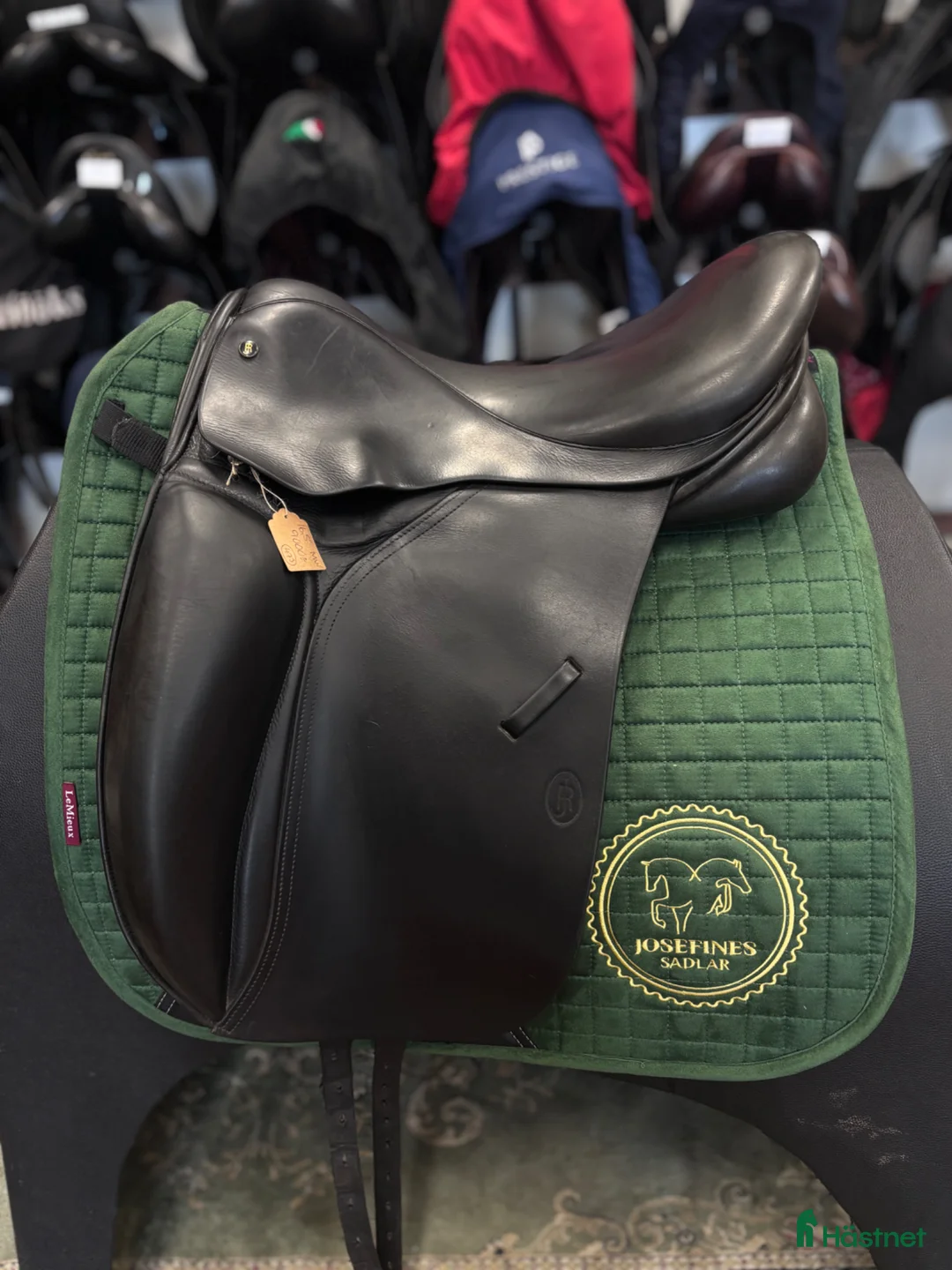 Sadlar hästutrustning till salu: Jeremy Rudge ✨ - Annons 1