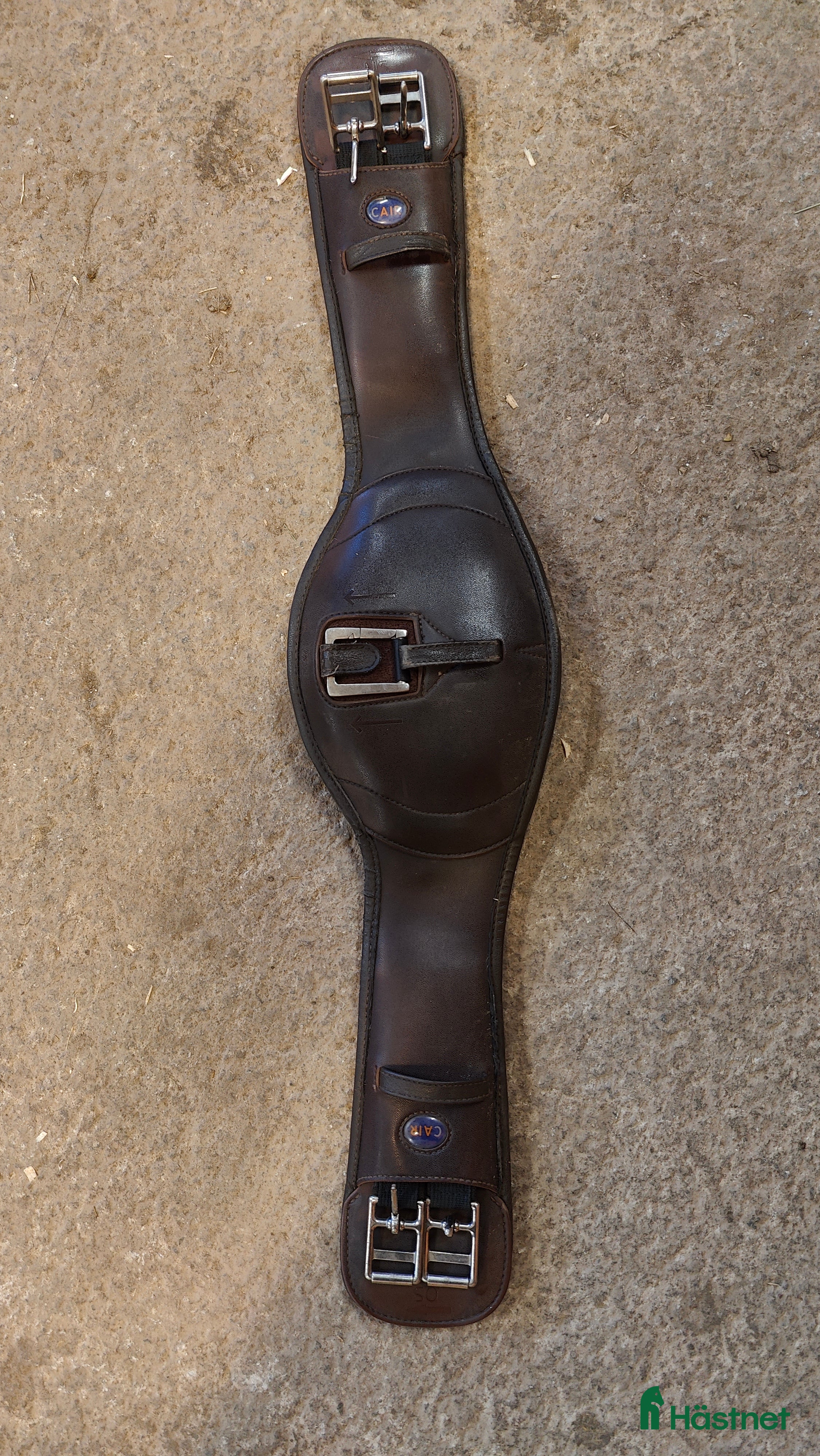 Sadeltillbehör hästutrustning till salu: Wintec Cair dressyrgjord  i Skellefteå - Annons 3