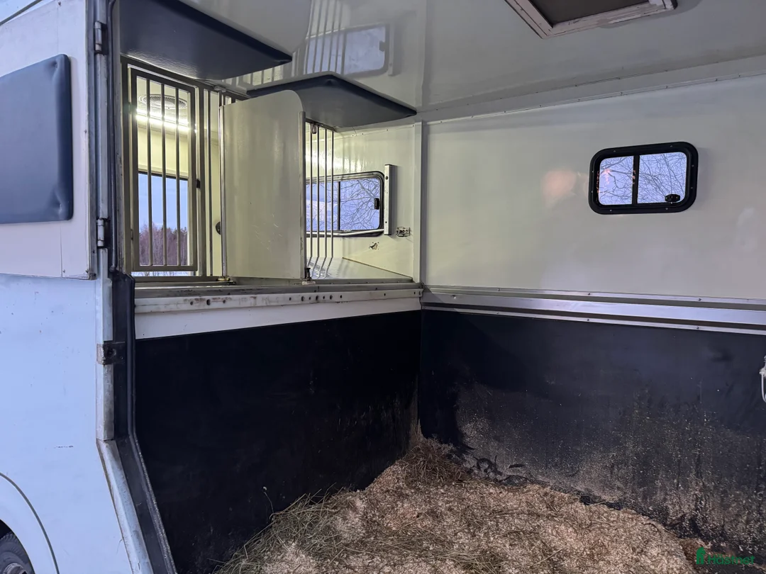 Hästlastbilar  fordon & transport till salu: RENAULT MASTER AMELINE 3 sits 2017 Nyservad! - Annons 17