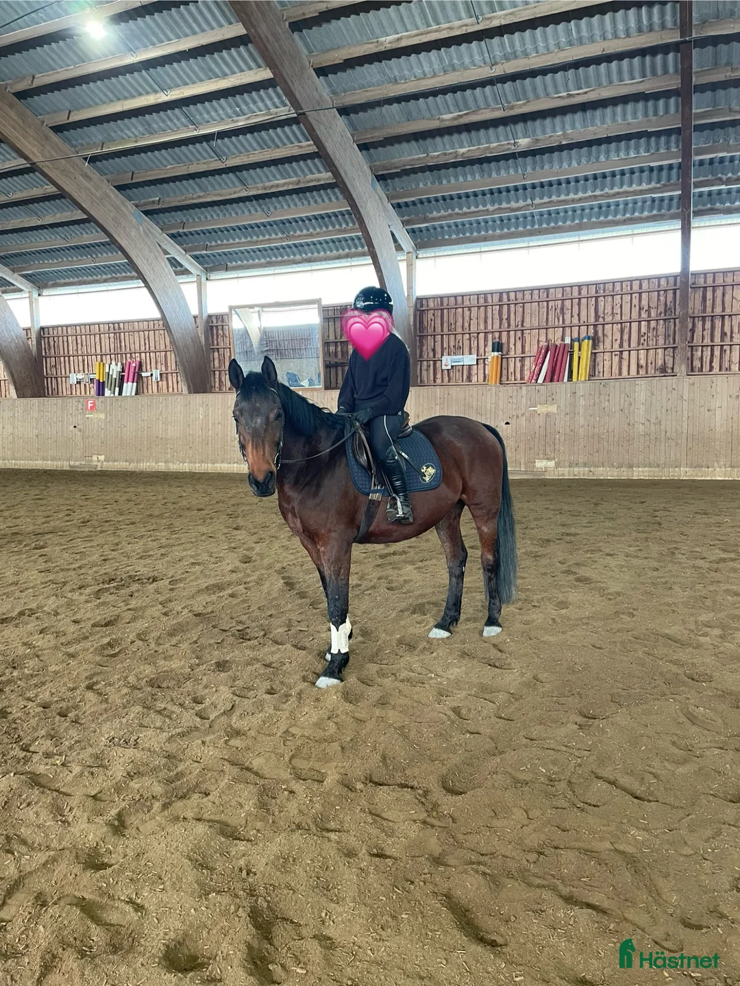 Allround hästar sökes: Söker utvecklingsbar bästavän💖 - Annons 1