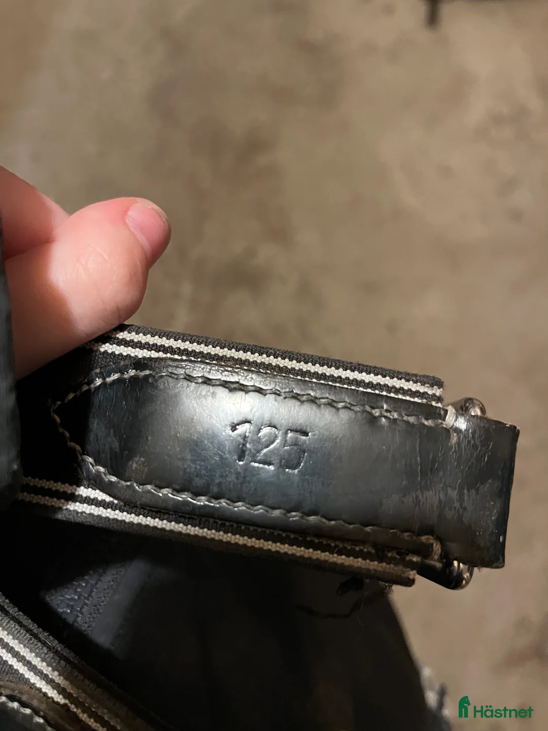 Sadeltillbehör hästutrustning till salu: Svart sadelgjord  i Landsbro - Annons 3