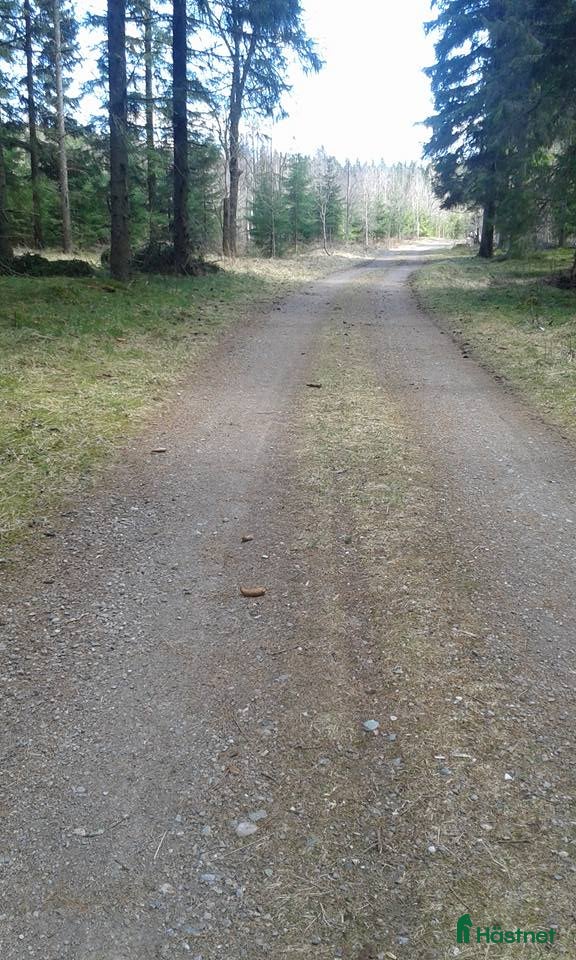 Övrigt Ridkläder ryttarutrustning till salu: ridoverall i Bäckefors - Annons 2