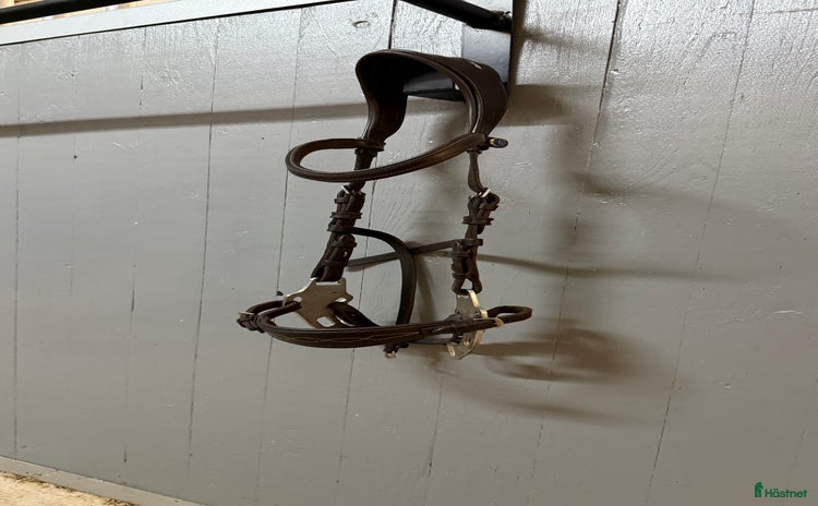 Träns hästutrustning till salu i Berga - Annons 15