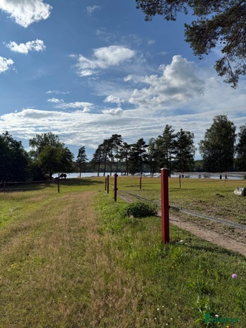 stallplats i Alingsås - Annons 15