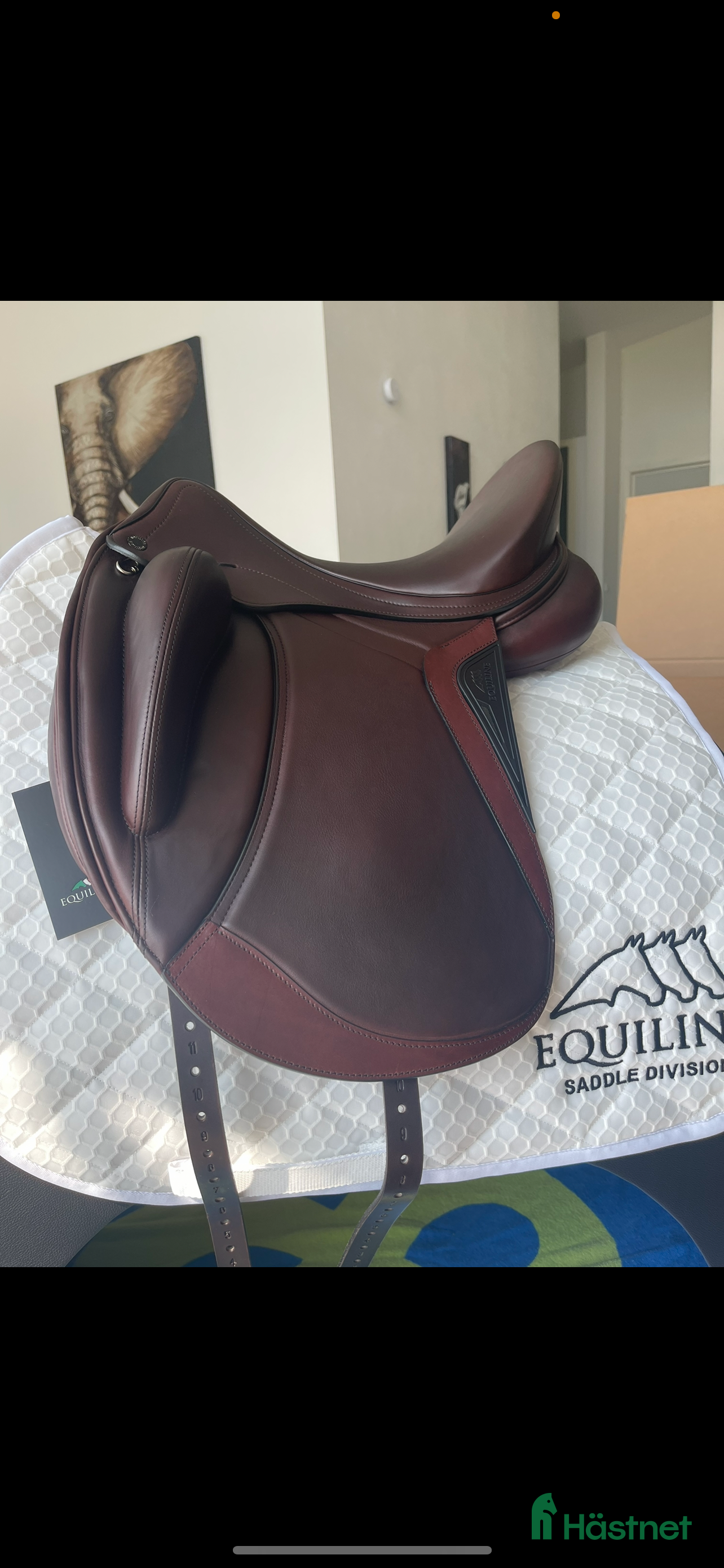 Sadlar hästutrustning Pedantskött equiline alissum i Ljungbyhed - Annons 1