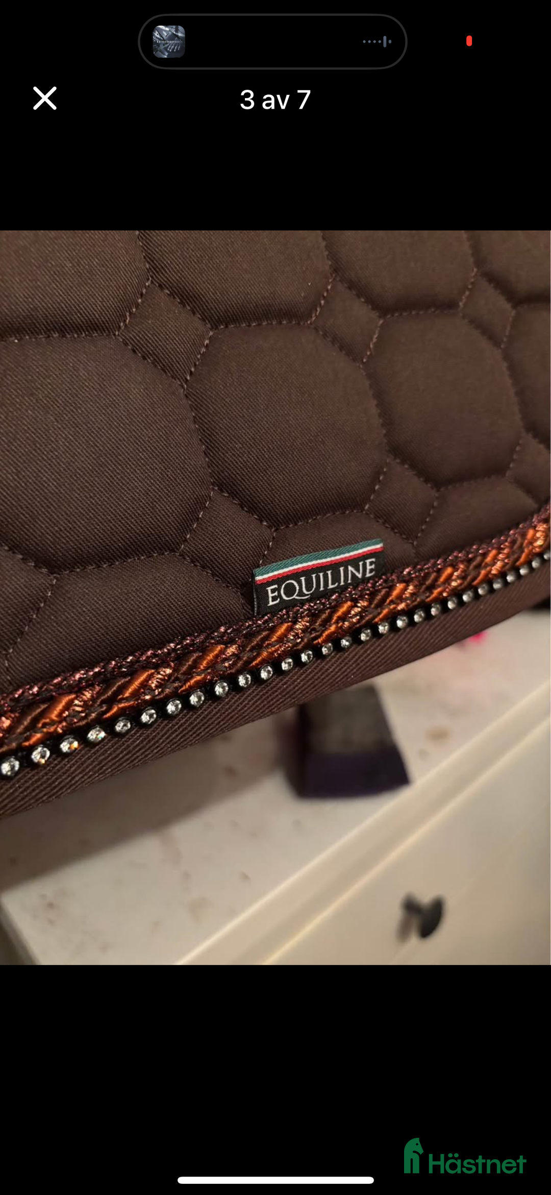 Schabrak & Vojlockar hästutrustning till salu: NYTT !! Equiline set schabrak o luva i Vingåker - Annons 3