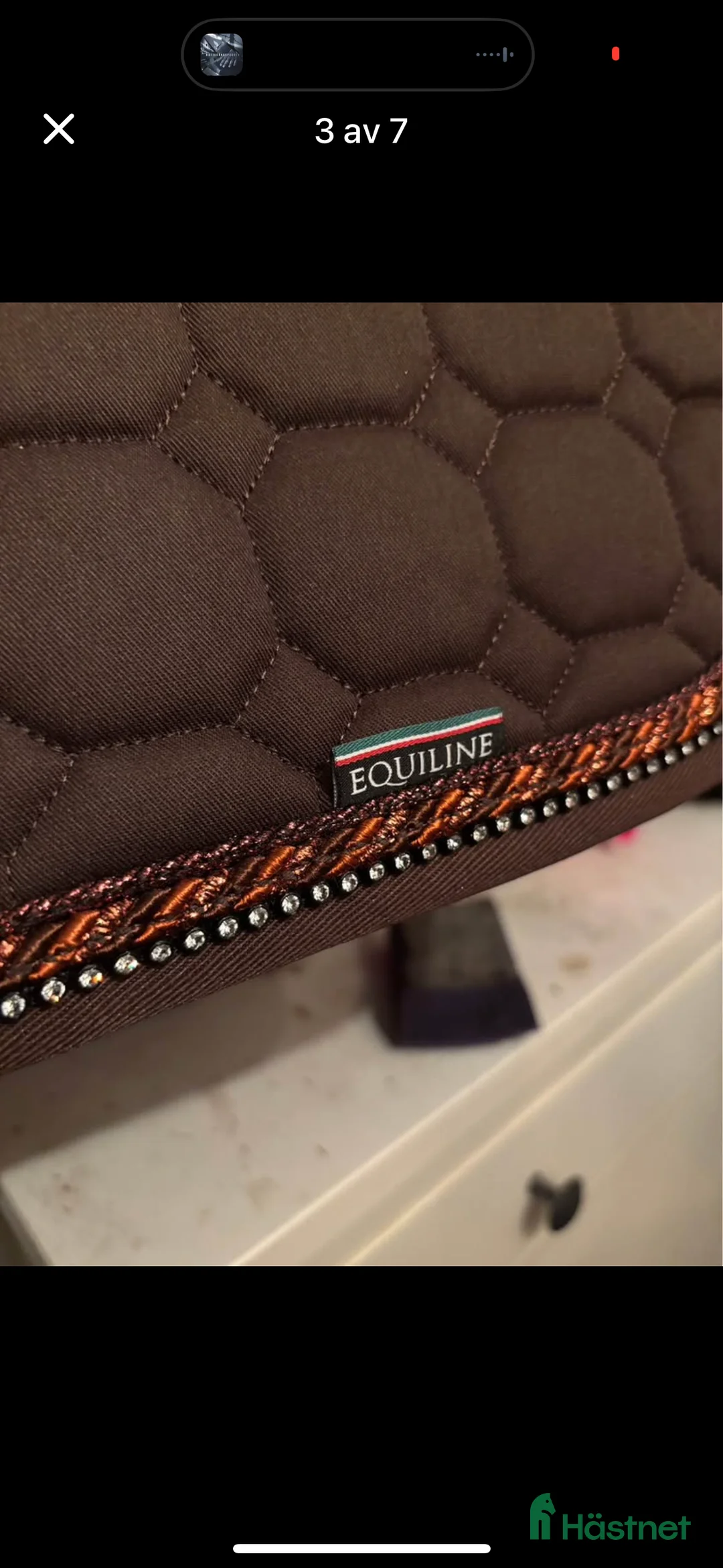 Schabrak & Vojlockar hästutrustning till salu: NYTT !! Equiline set schabrak o luva i Vingåker - Annons 3