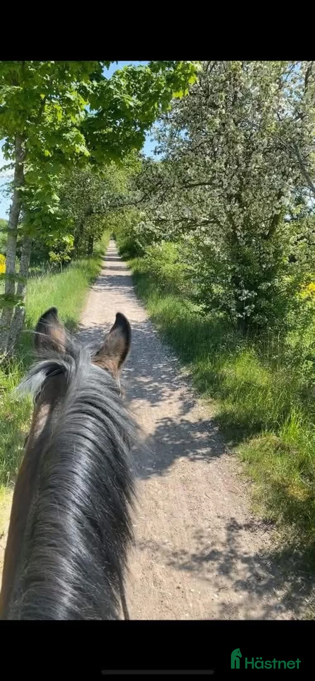  stallplats finnes: Boxplats finnes i Eslöv  i Eslöv - Annons 3