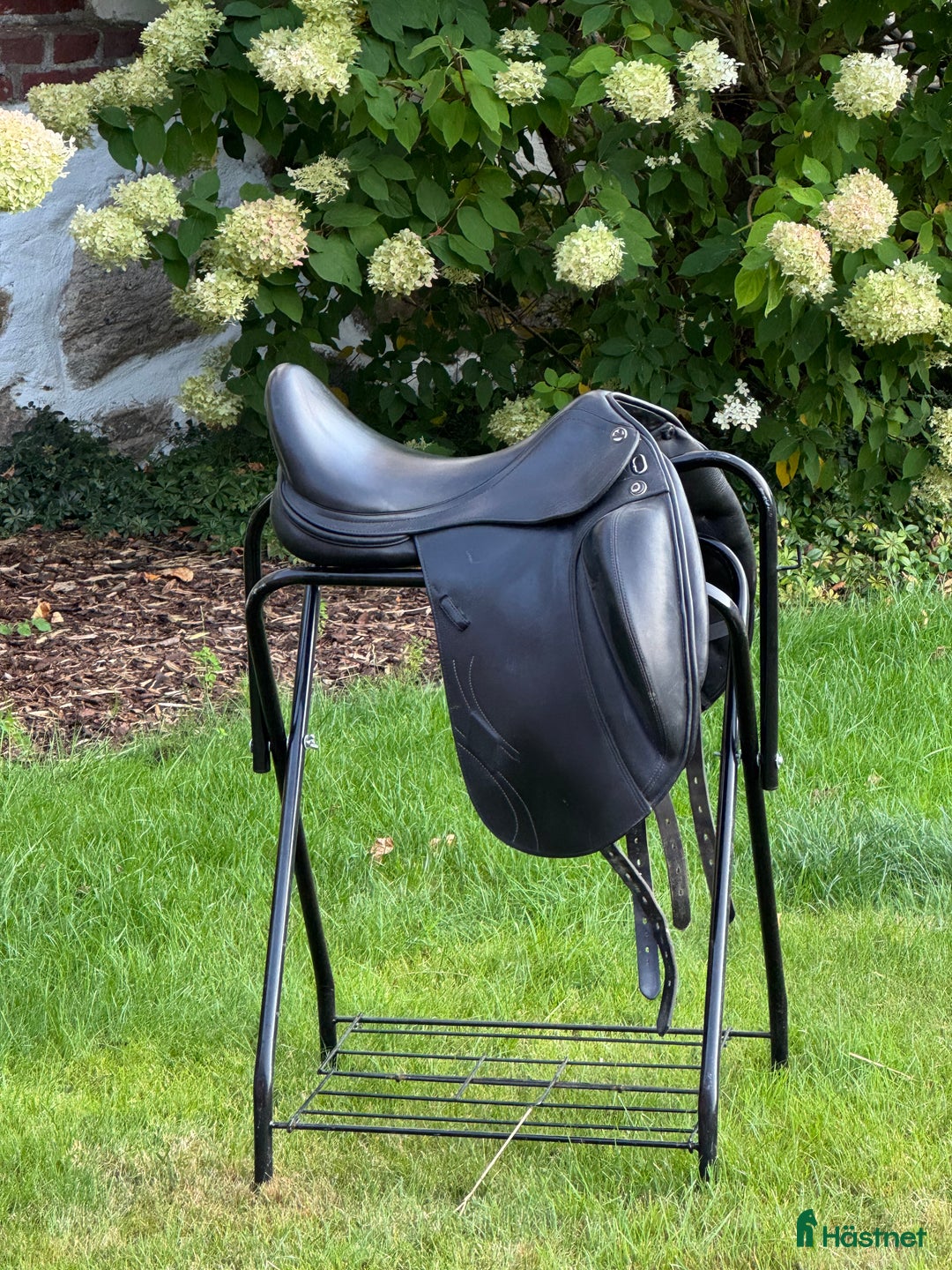 Sadlar hästutrustning till salu: Prestige Philosophy K i Hallaröd - Annons 1