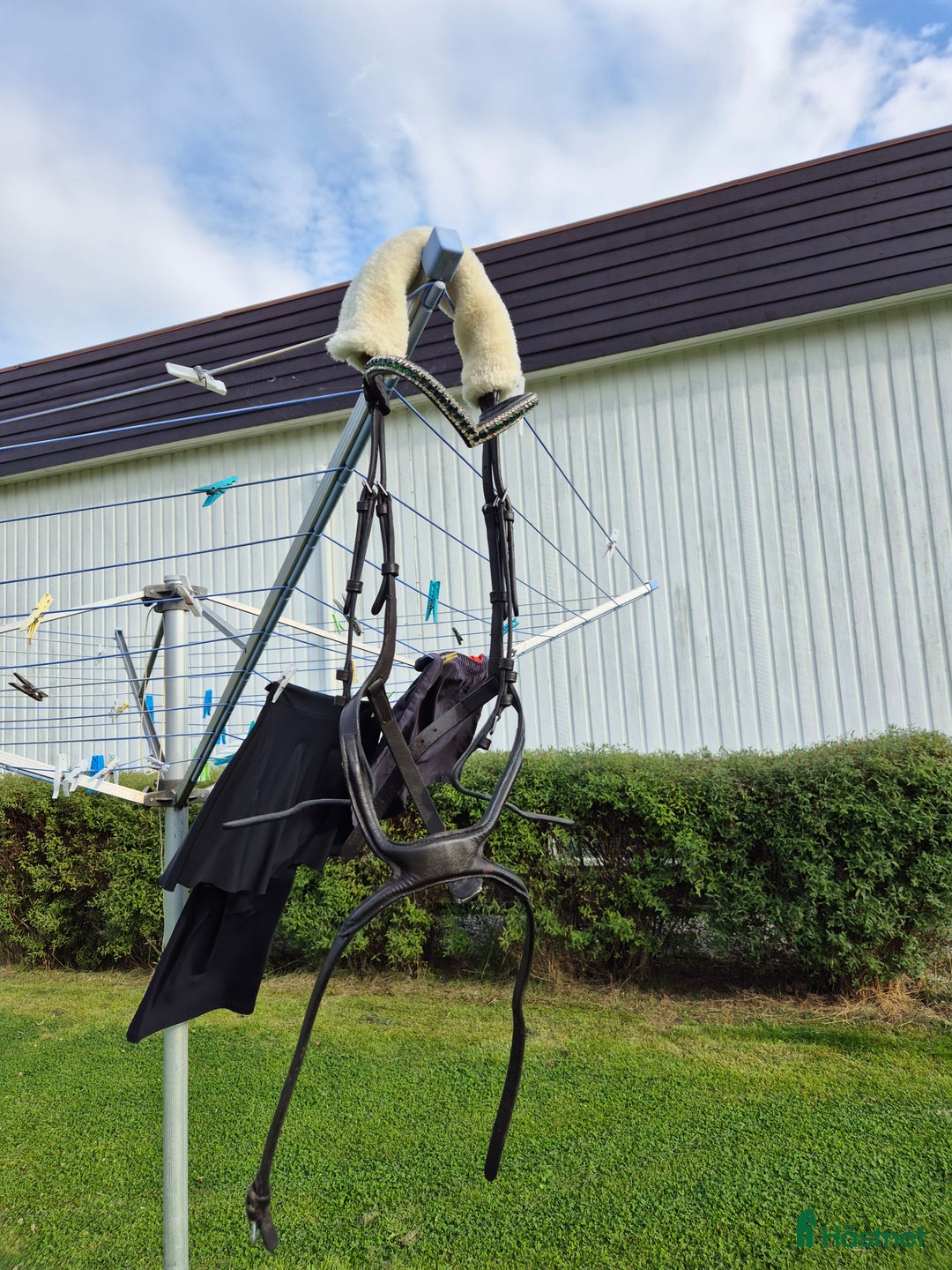 Träns hästutrustning till salu: Fin pullarnosgrimma i Dingle - Annons 1