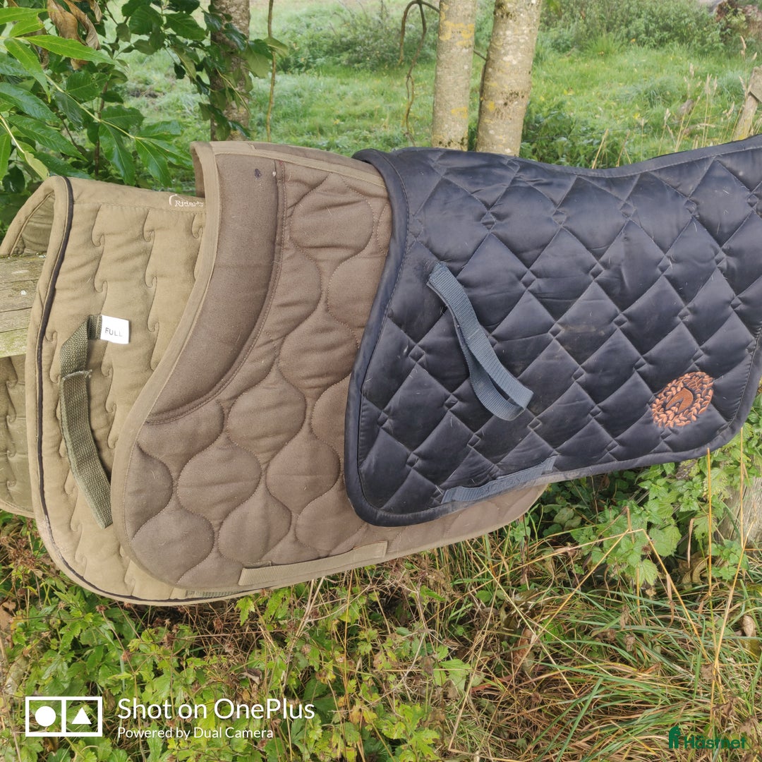 Sadlar hästutrustning till salu: Allround Sadel i Österbybruk - Annons 8