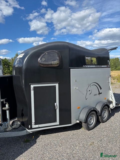 Hästtransporter  fordon & transport till salu: Nyinkommen Cheval Gold 2 - 2019 - Annons 4