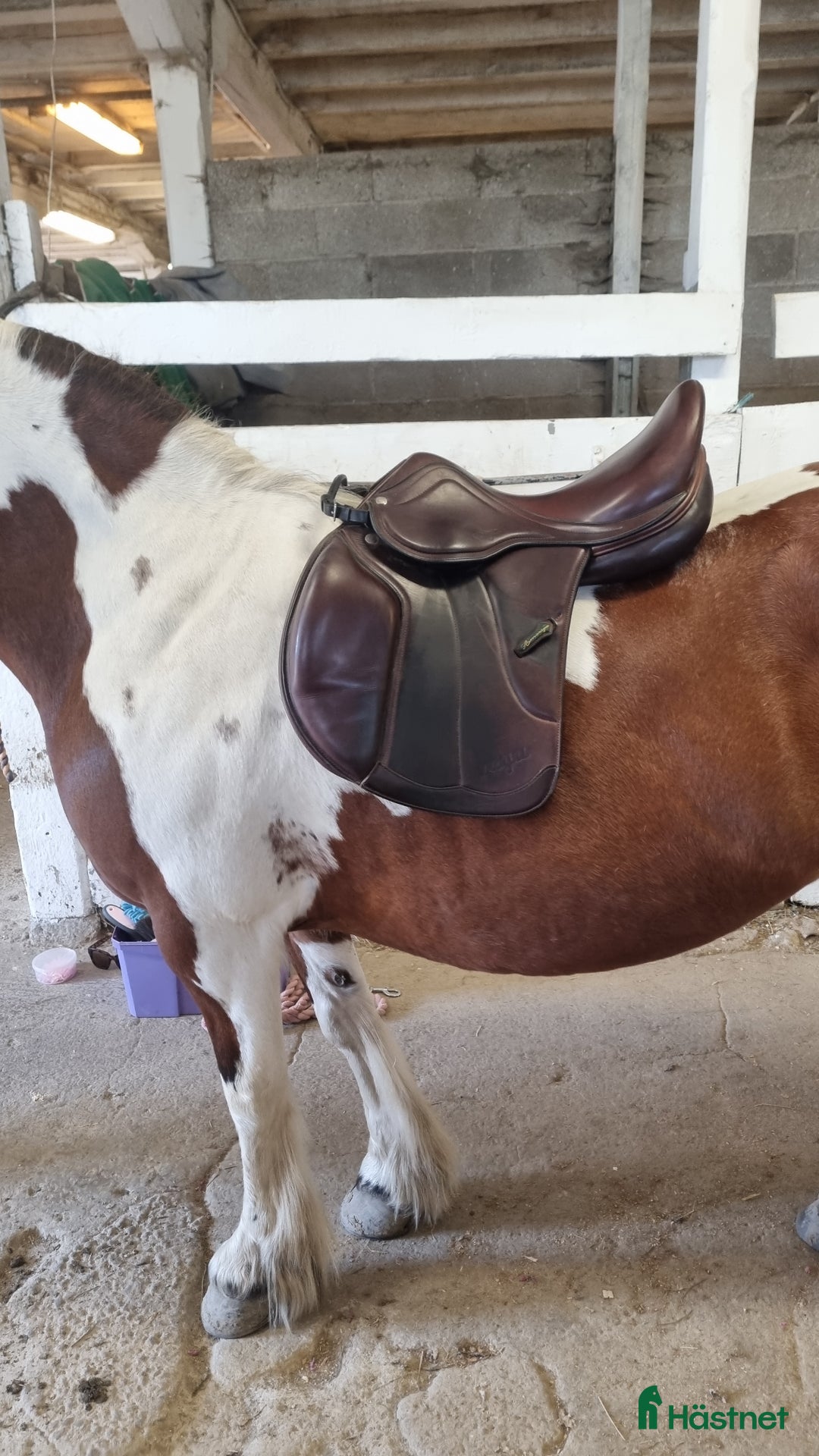 Sadlar hästutrustning till salu: Prestige Vega 16" i Eskilstuna - Annons 7