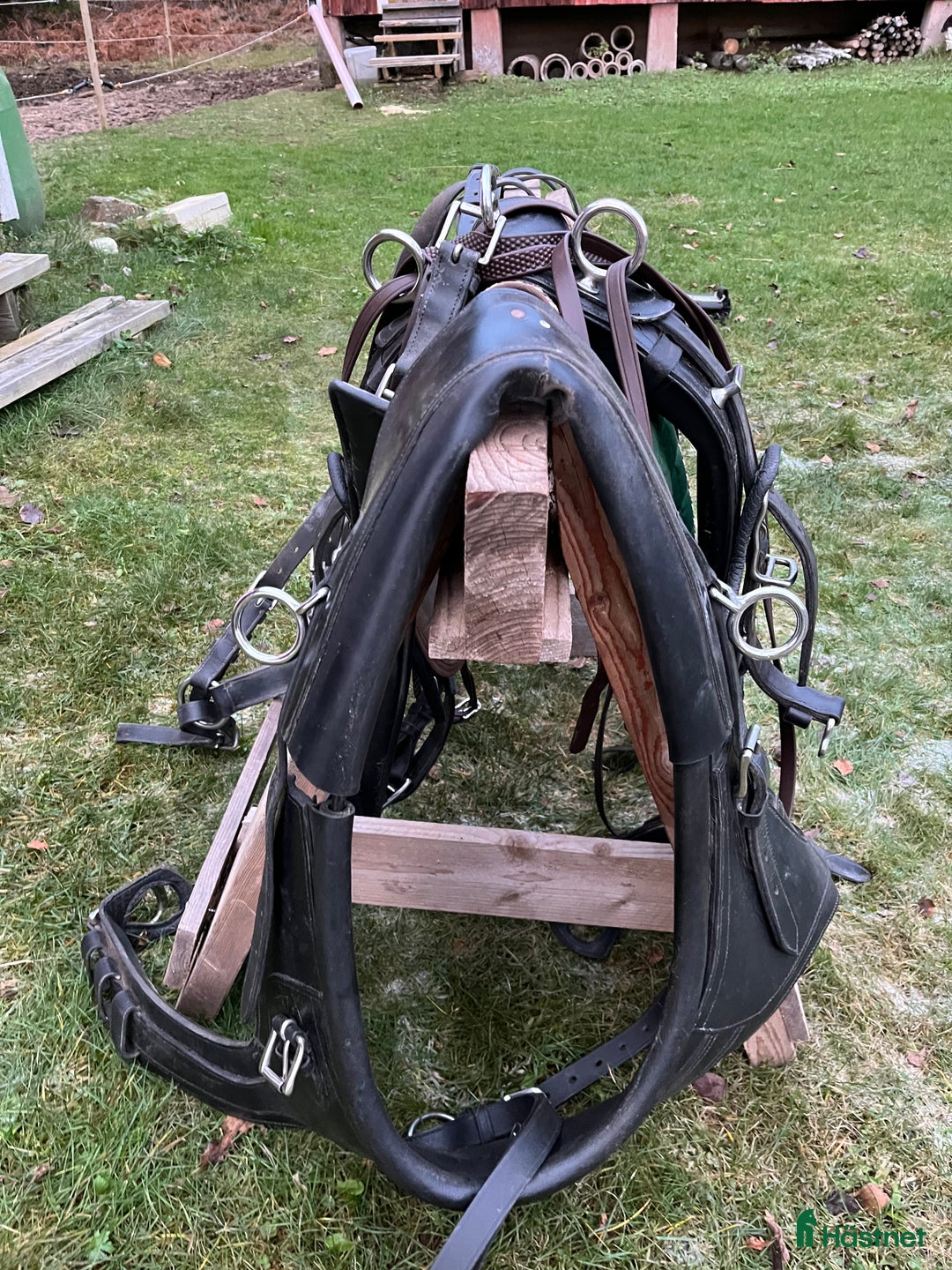 Körselar körning till salu: Maratonsele med fransk brösta storlek Shire i Västra Ämtervik - Annons 5