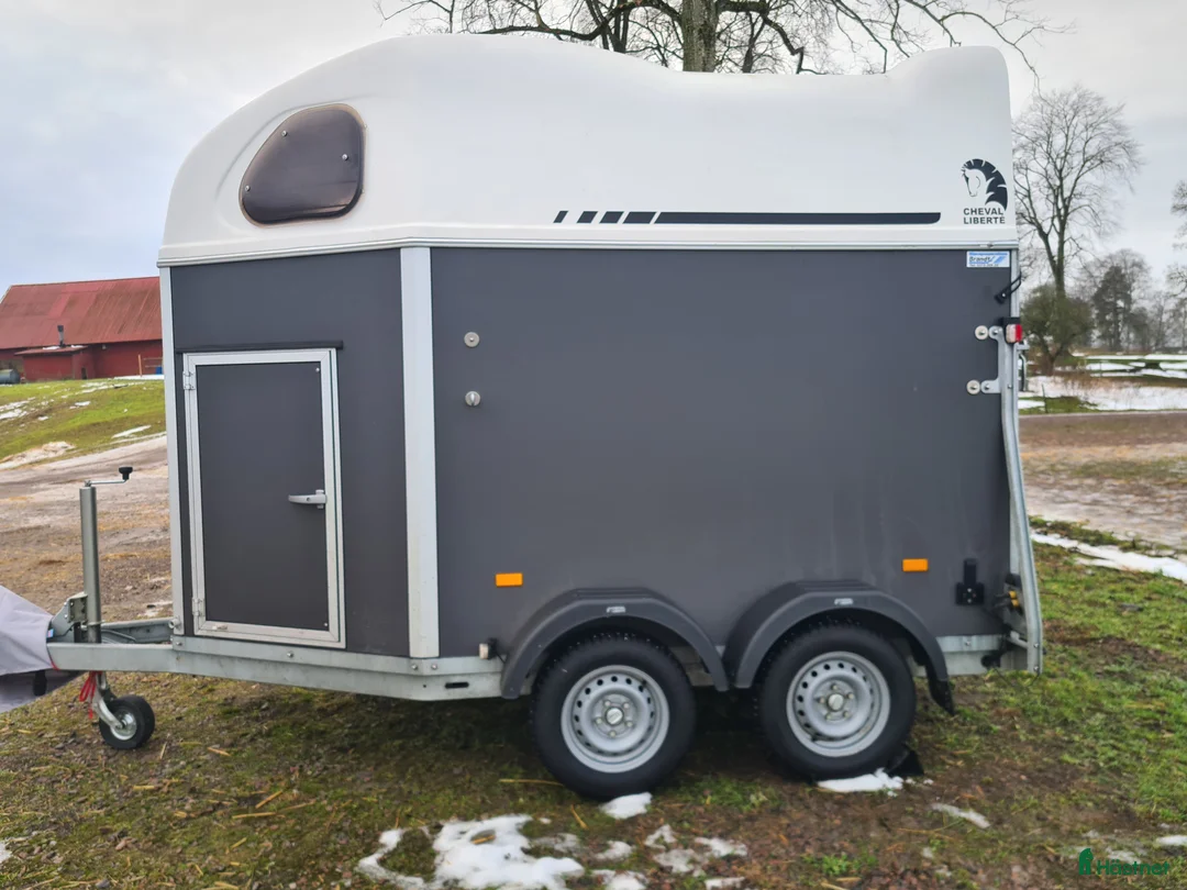 Hästtransporter  fordon & transport till salu: Mycket fin transport  i Falköping - Annons 1