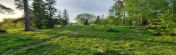  stallplats finnes: Hingstbete - Annons 3