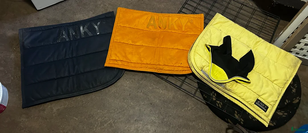 Schabrak & Vojlockar hästutrustning till salu: Anky schabrak - Annons 1