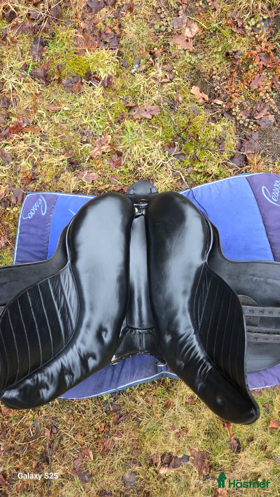 Sadlar hästutrustning till salu: Underbar Ludomar  - Annons 2