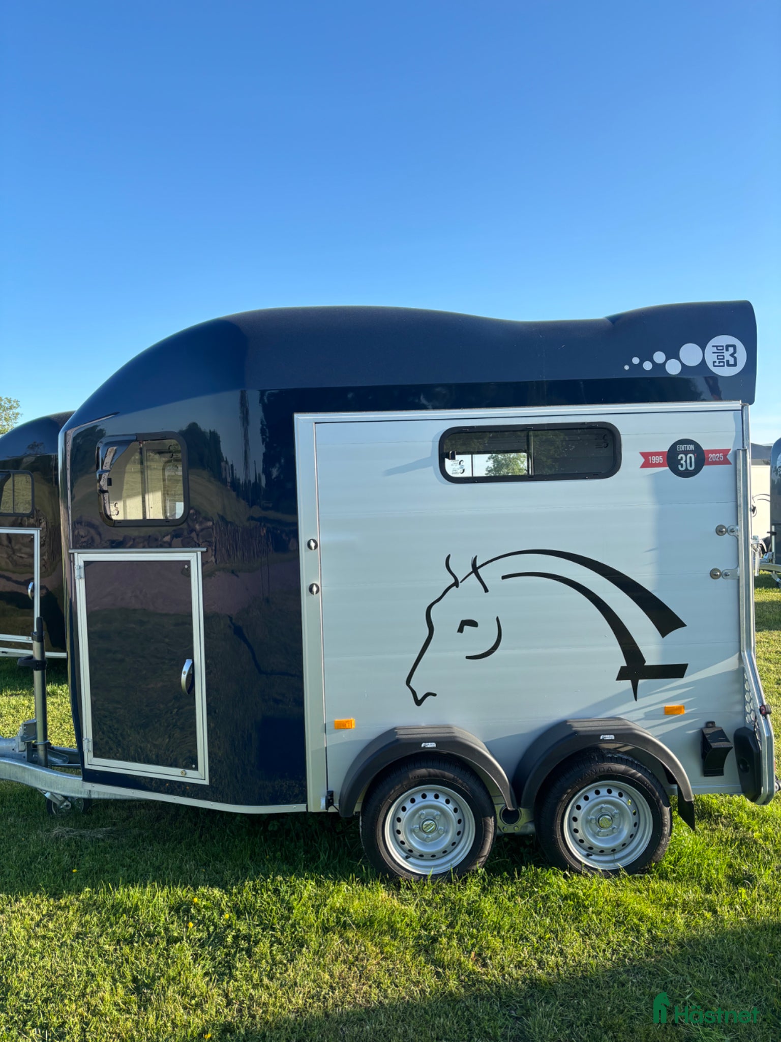 Hästtransporter  fordon & transport till salu: Cheval Gold 3 - Annons 5