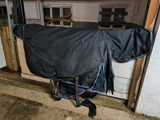 Täcken hästutrustning till salu: Vintertäcke i Åmotsbruk - Annons 11