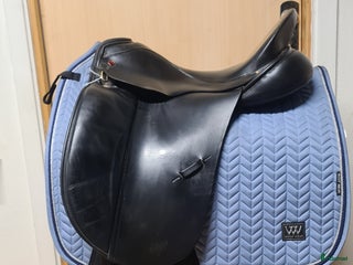 Sadlar hästutrustning till salu: Albion SLK i Hamneda - Annons 1