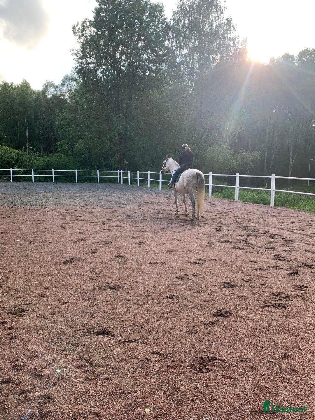  stallplats finnes: Ponnybox i centrala Göteborg  i Göteborg - Annons 3