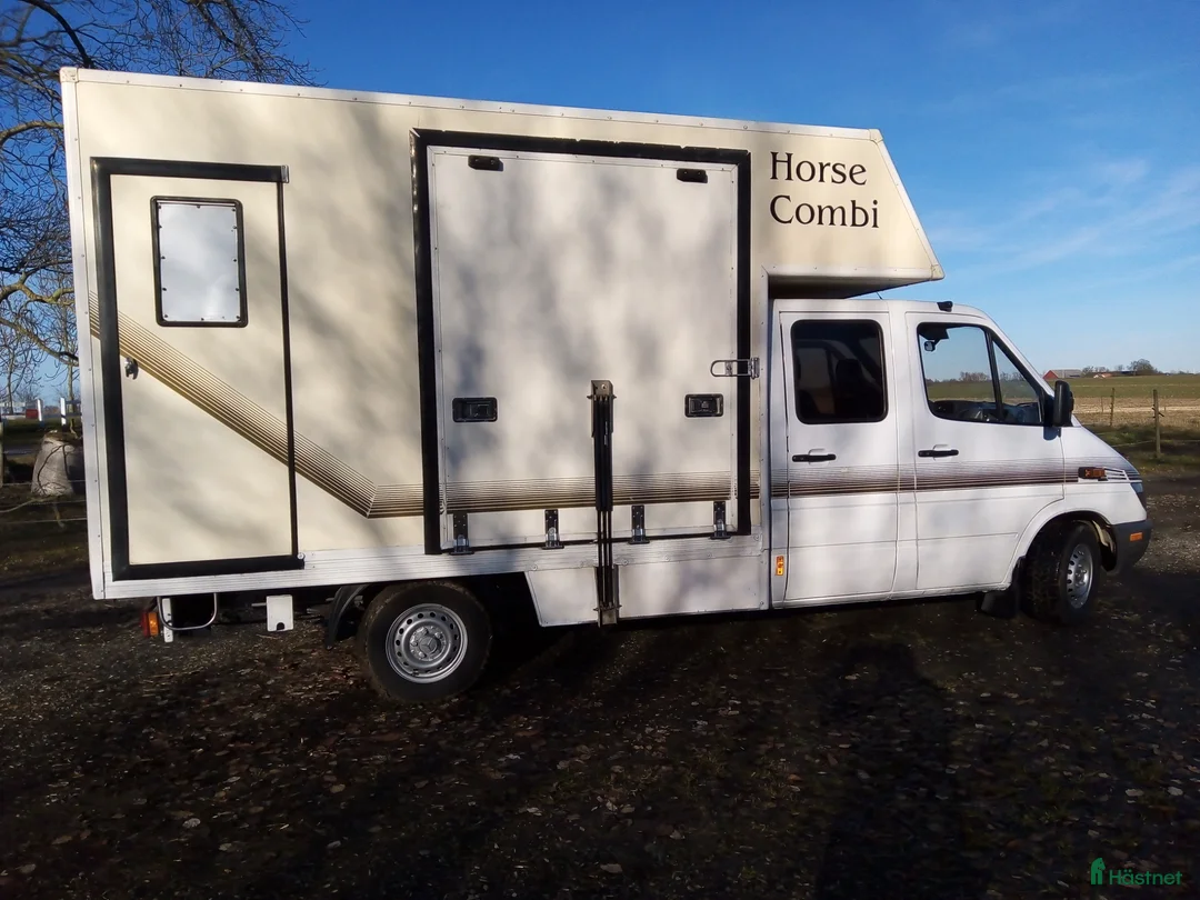 Hästlastbilar  fordon & transport till salu: MB 316cdi hästlastbil - Annons 1