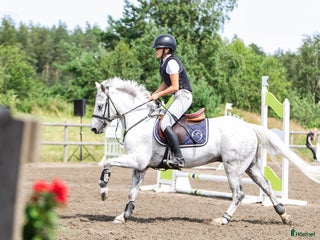 hästar Trevlig allroundponny i Hjärtum - Annons 1
