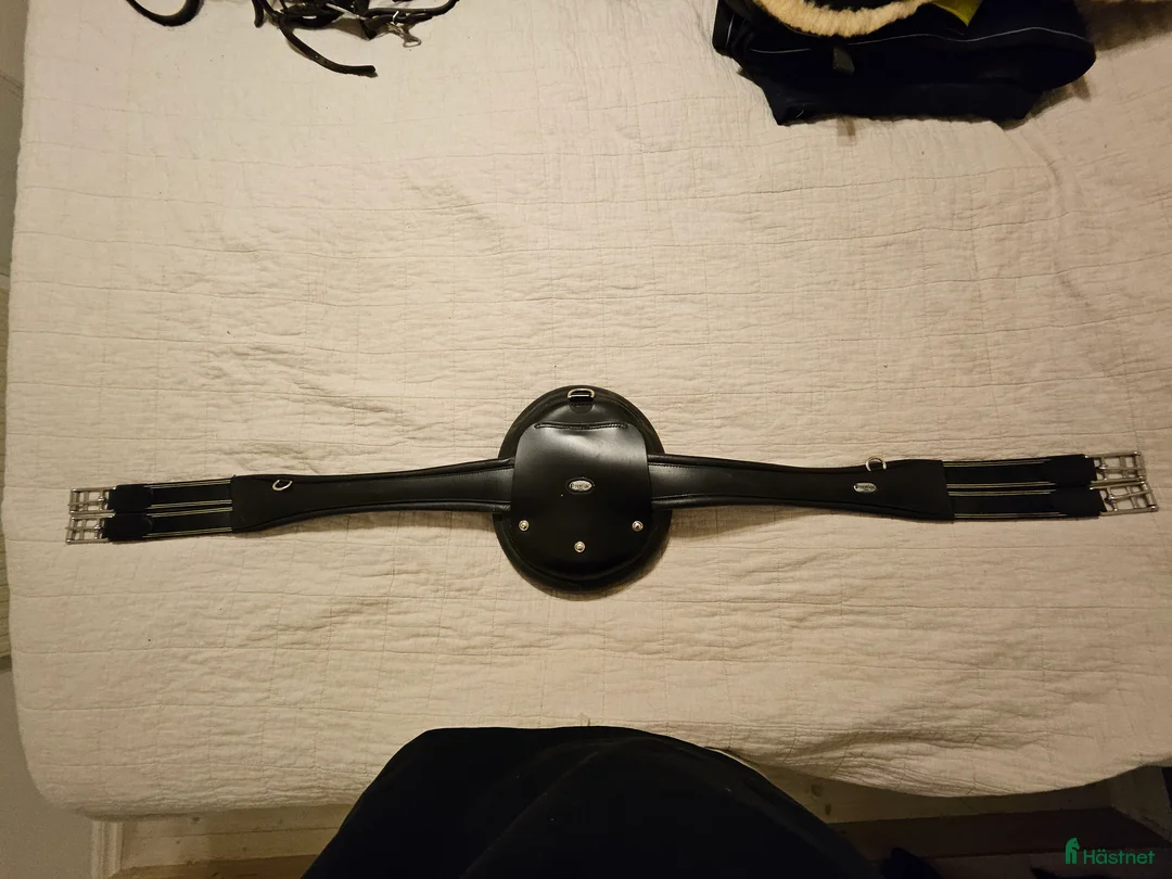 Sadeltillbehör hästutrustning till salu: Prestige RP hoppgjord i Karlskrona - Annons 2