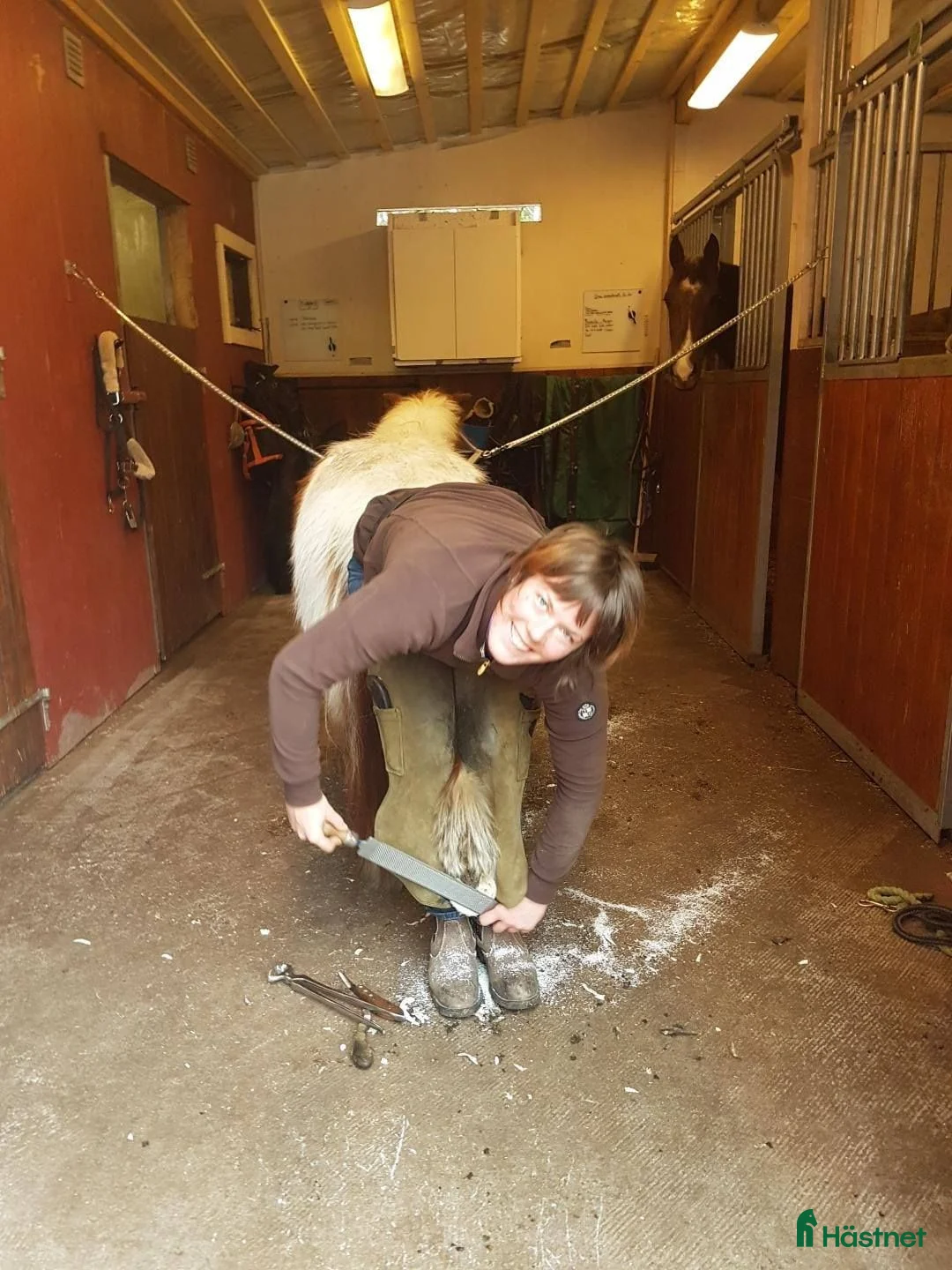  hästservice finnes: Hovslagare tar emot nya kunder i hela Skåne i Höör - Annons 2