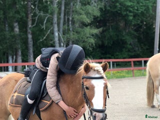 medryttarhäst sökes: Hästägare titta hit!!!❤️ I södra Stockholm!!!!❤️❤️ i Trångsund - Annons 2