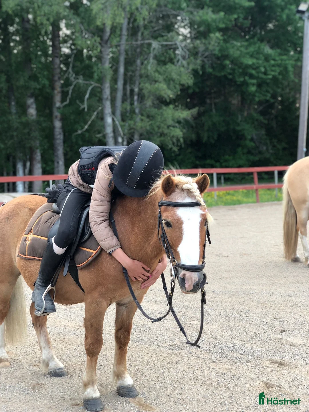  medryttarhäst sökes: Hästägare titta hit!!!❤️ I södra Stockholm!!!!❤️❤️ - Annons 1