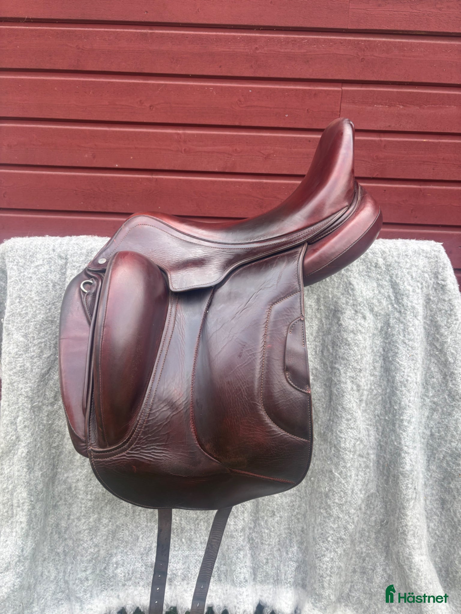 Sadlar hästutrustning Antares Tempo, lyxig dressyrsadel - Annons 14