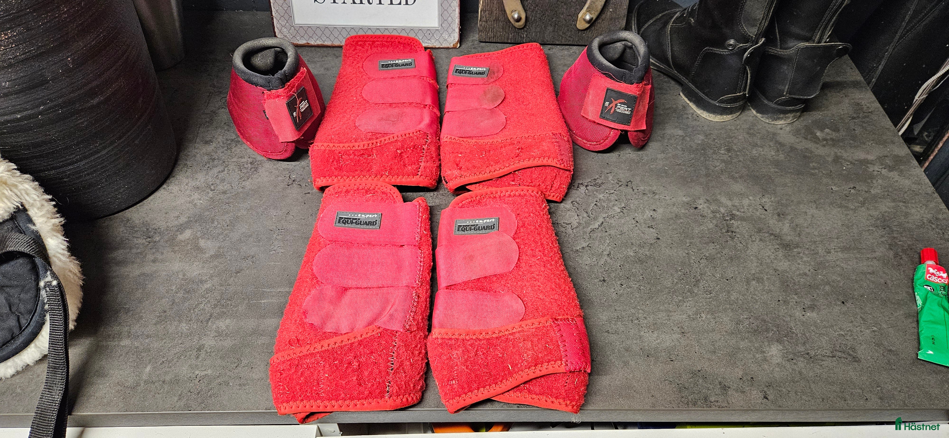 Benskydd hästutrustning till salu: Benskydd och boots i Skärblacka - Annons 17