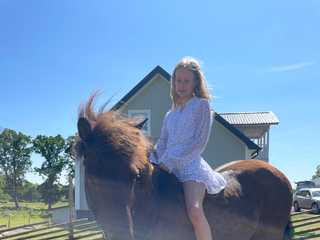 hästar Söker islandshäst på foder i Mönsterås - Annons 12