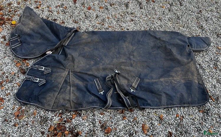 Täcken hästutrustning till salu i Hörby - Annons 10