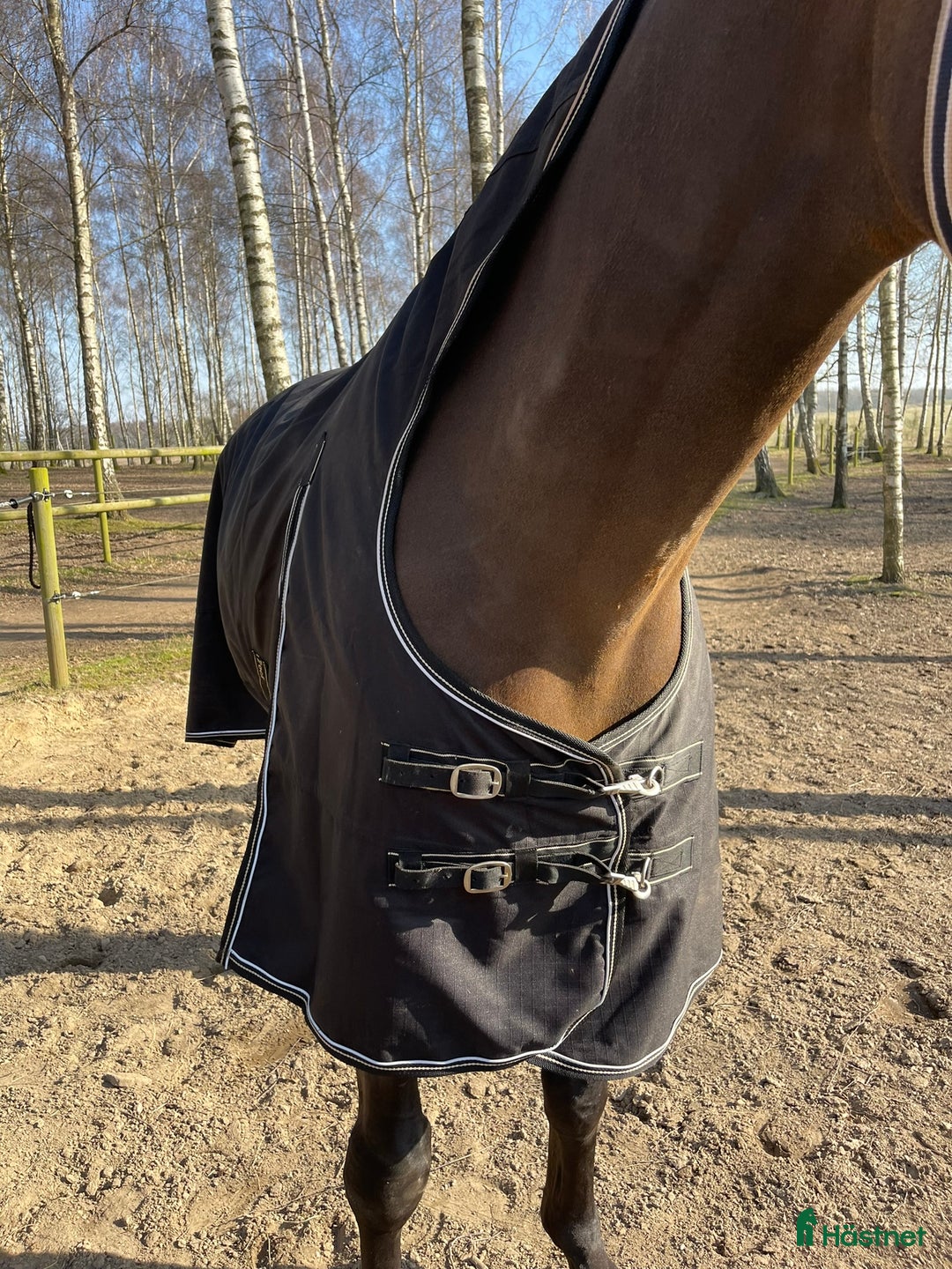 Täcken hästutrustning till salu: BoT Brianna utetäcke 50g i Staffanstorp - Annons 3