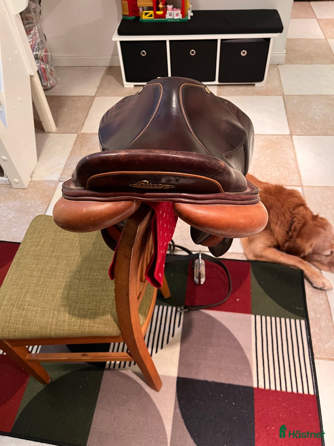 Sadlar hästutrustning till salu: Pessoa AMO Hoppsadel 17,5” MW Fint skick i Trekanten - Annons 5