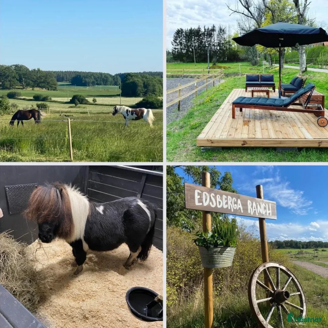  stallplats finnes: Plats på lösdrift  i Linköping - Annons 2