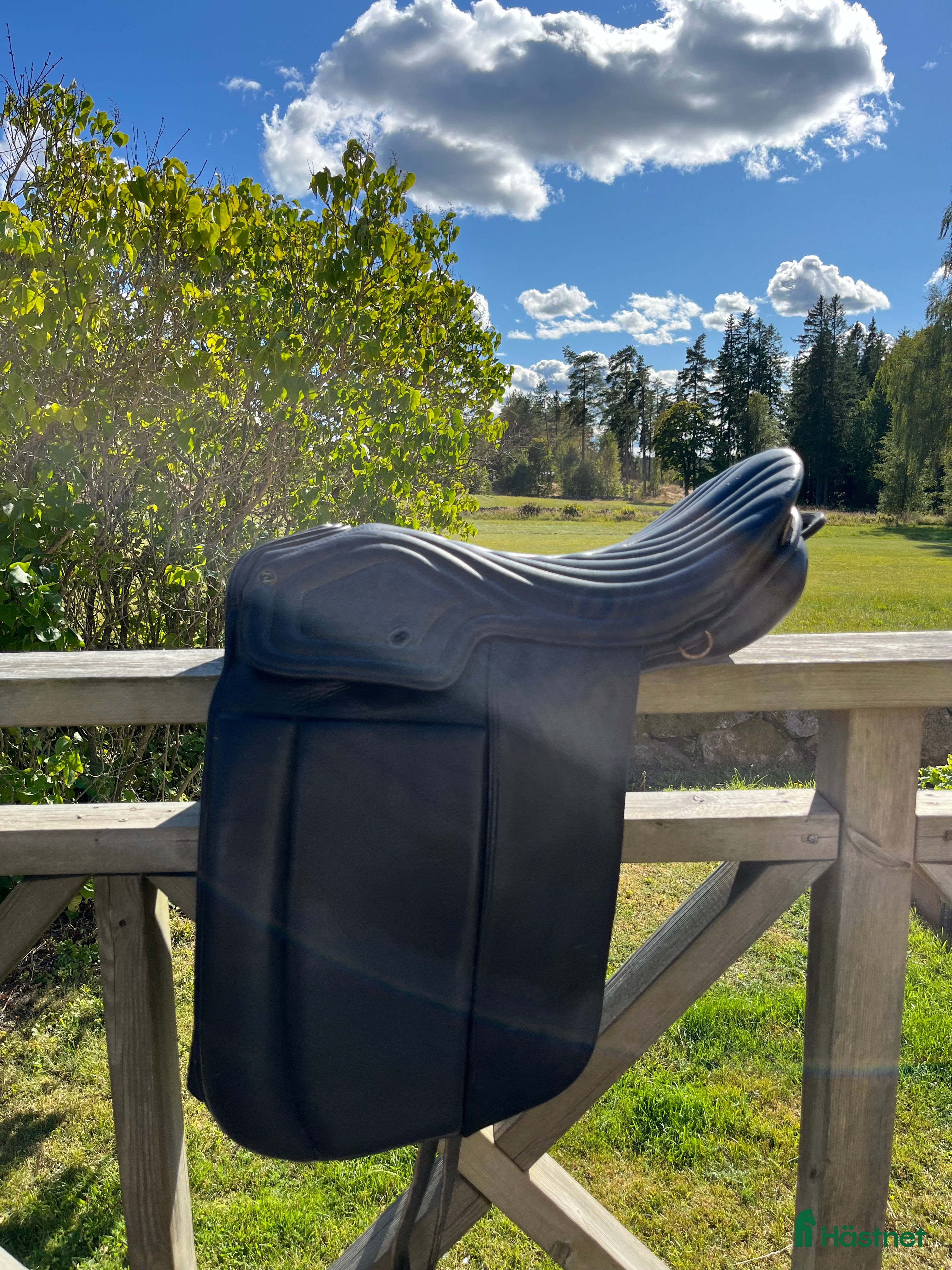 Sadlar hästutrustning till salu: Islands-sadel i Hjo - Annons 13