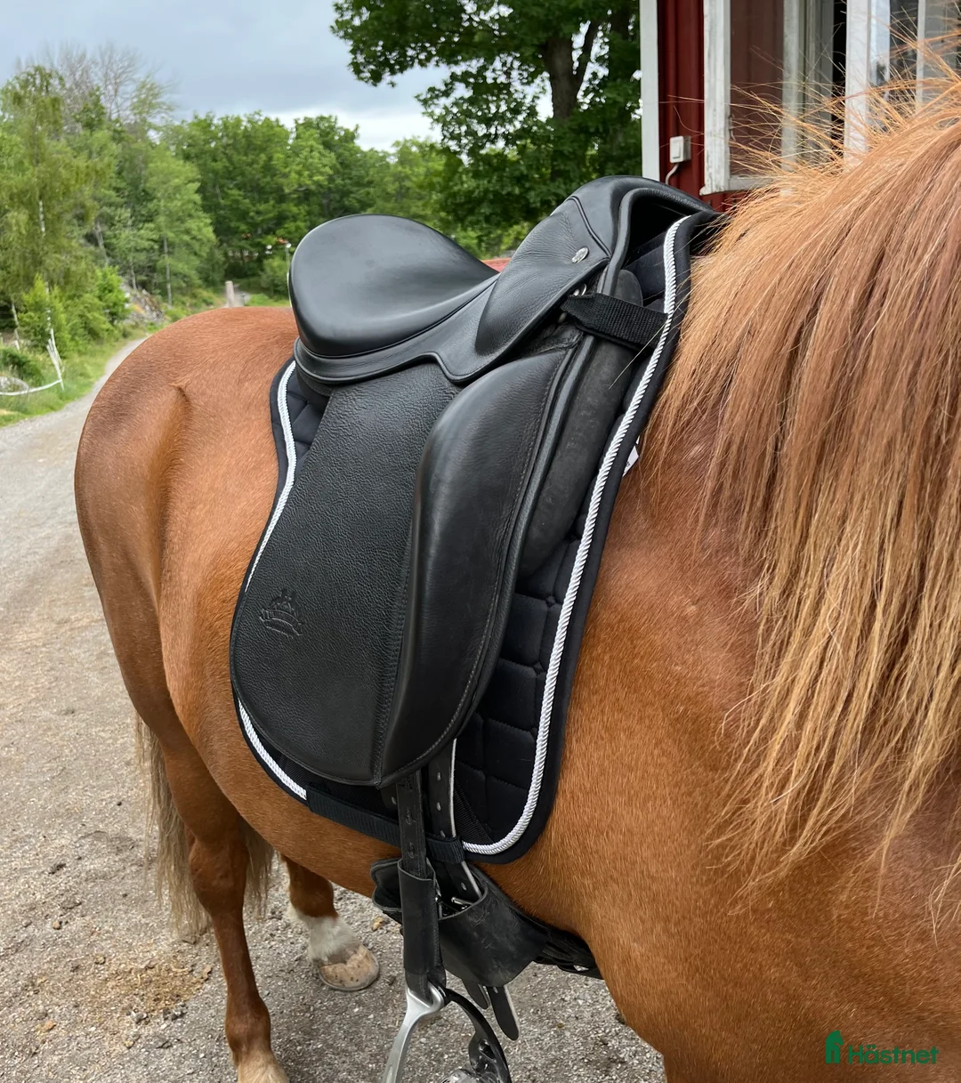 Sadlar hästutrustning till salu: Töltrider Byr 17” E-bom i Nynäshamn - Annons 1