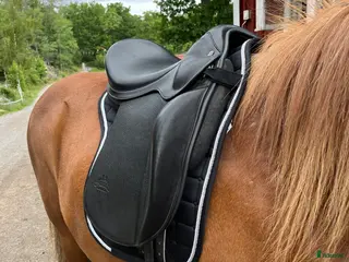 Sadlar hästutrustning till salu: Töltrider Byr 17” E-bom i Nynäshamn - Annons 2