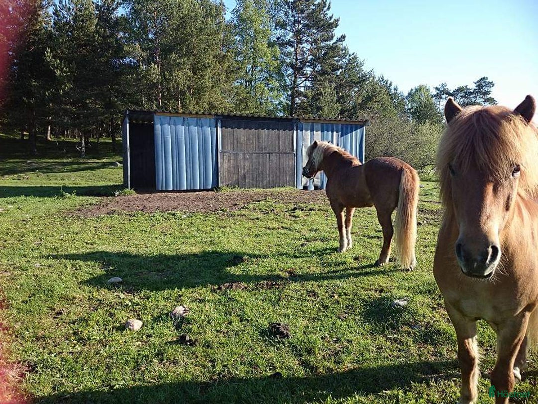  stallplats finnes: LÖSDRIFT  i Vallentuna - Annons 1