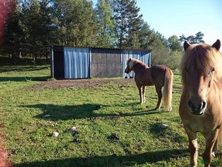 stallplats LÖSDRIFT i Vallentuna - Annons 4