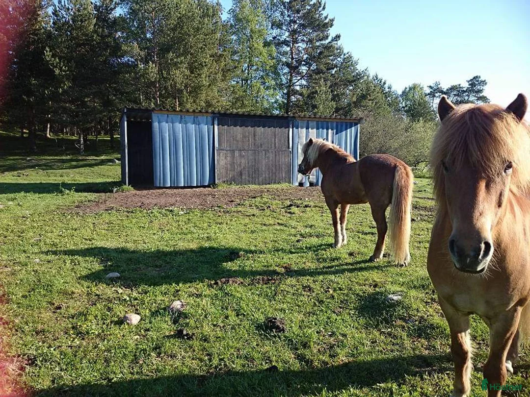  stallplats finnes: LÖSDRIFT  i Vallentuna - Annons 1