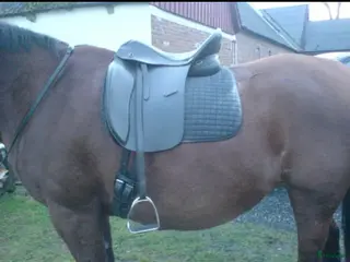 Sadlar hästutrustning Trekker Master - Annons 1