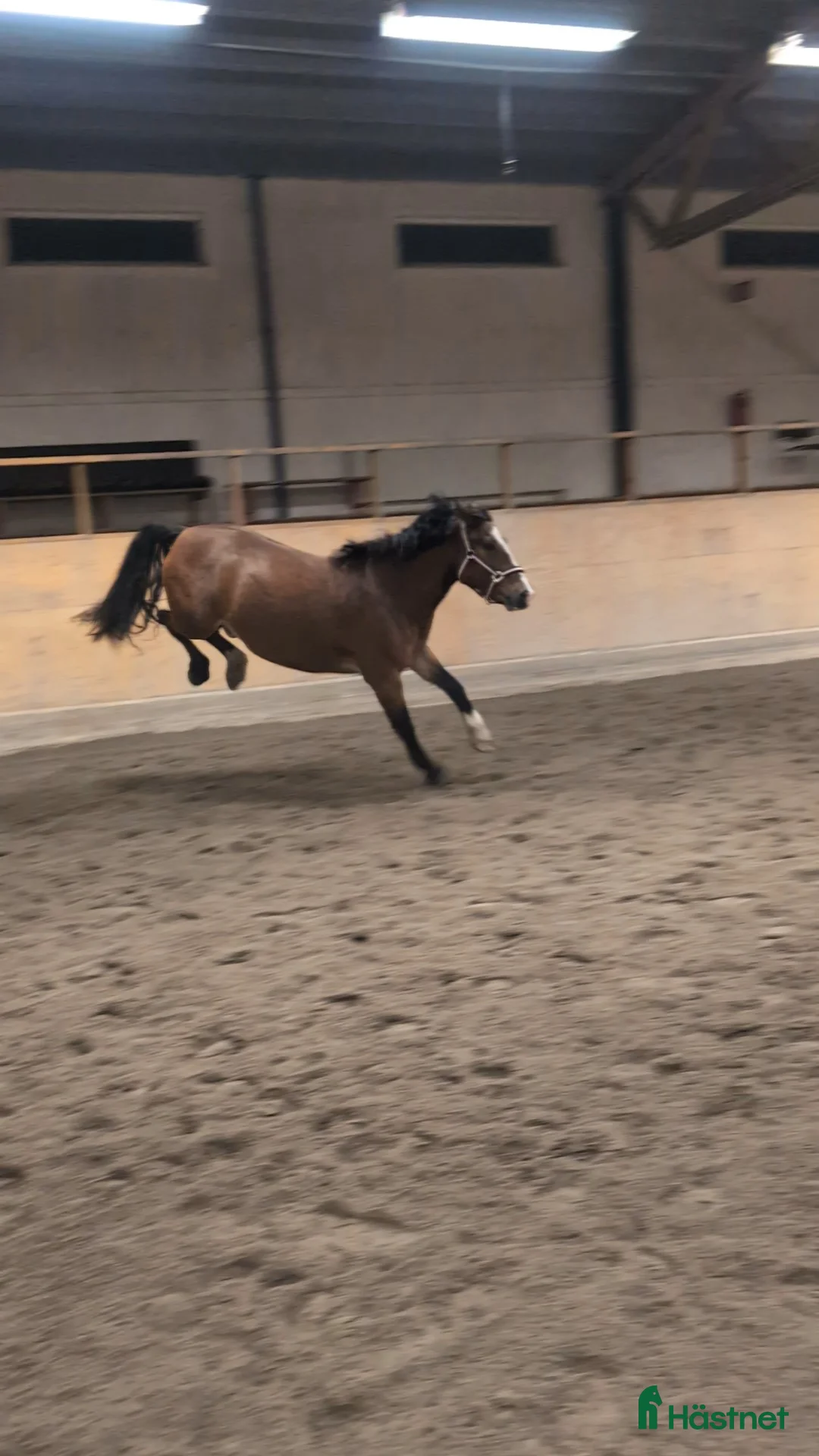 Galleribild {{count}}