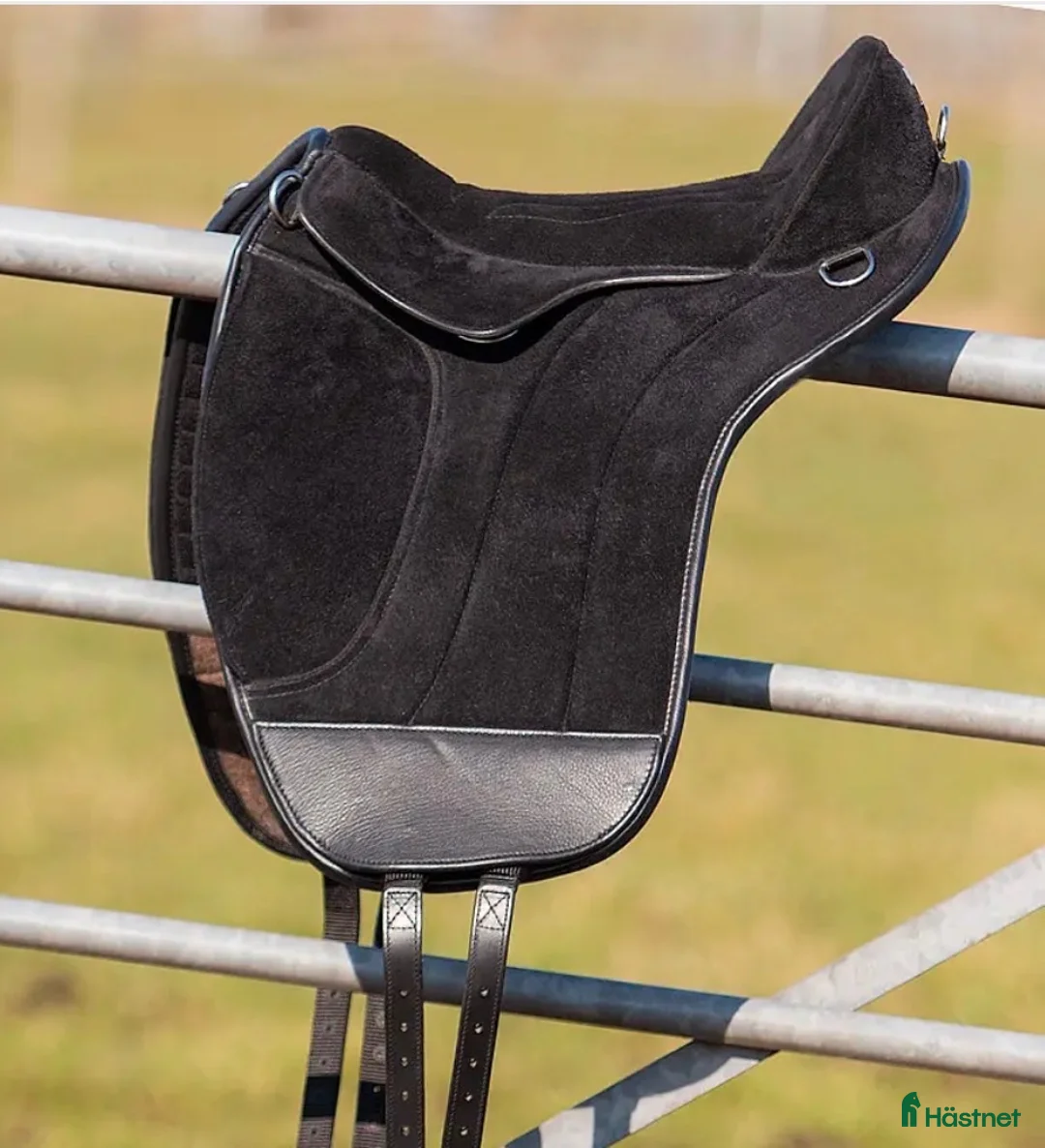 Sadlar hästutrustning till salu: Ridpad Edix union - Annons 1