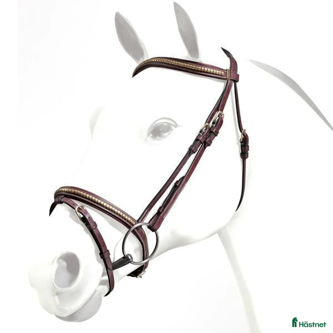 Träns hästutrustning till salu: Equipe Klinker + equipe förbygel klinker i Allerum - Annons 5